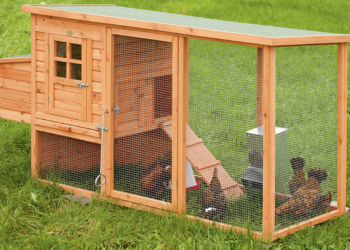 Saumurois : Un toit pour ailes. L’opération continue.