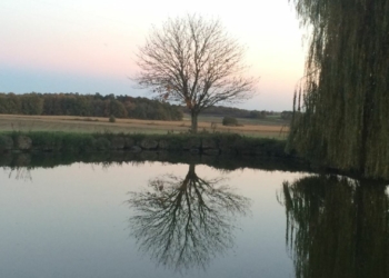 Vienne. Le département engagé dans la création d’un atlas des paysages