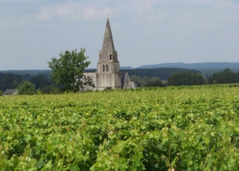 Idée sortie #17. Découvrez les vignes et forêts saumuroises autrement, hors des sentiers battus