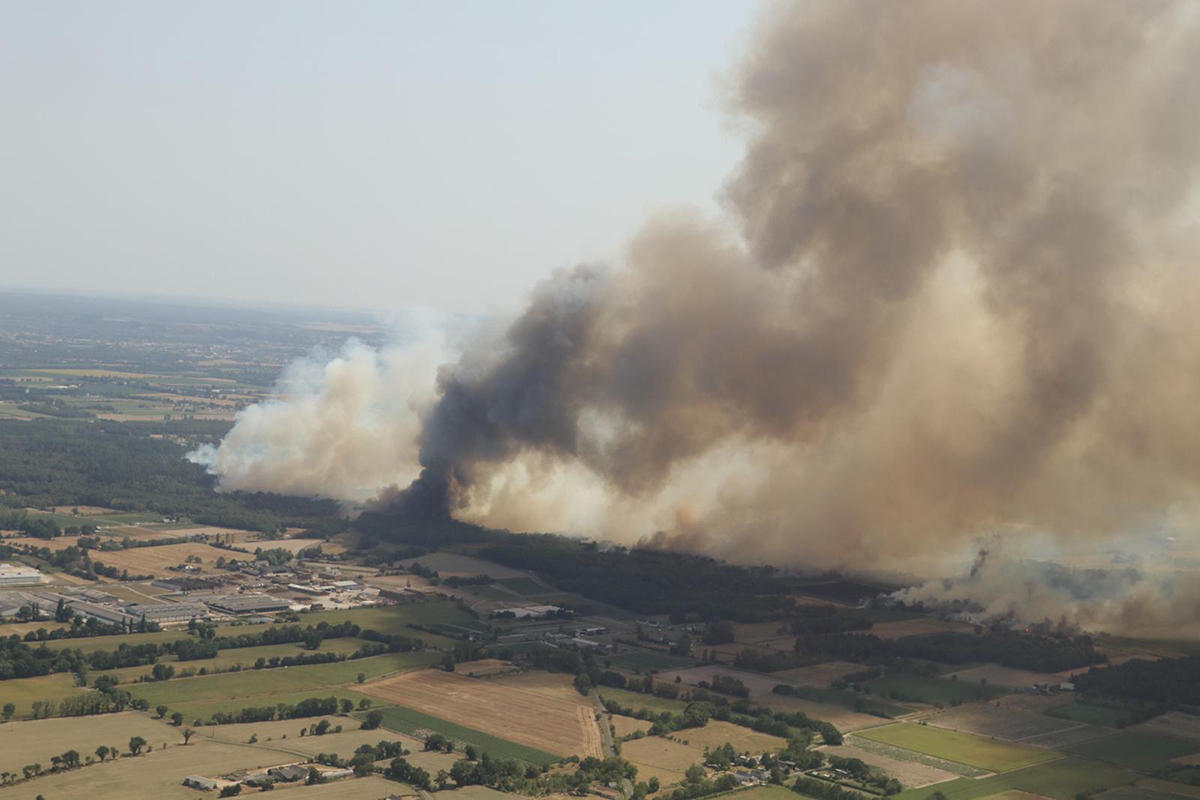 Pays de la Loire. Incendies de forêt, quels risques sur la santé ?