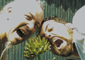 Ce jeudi 28 juillet à Saumur : Harvest Folk en concert gratuit