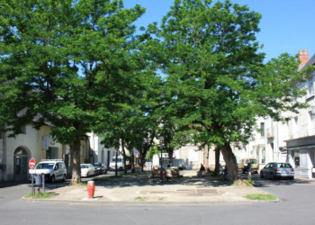 Chinon. Végétalisation : vers un réaménagement écologique et paysager de la place Mirabeau