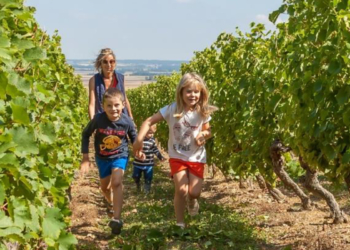 Loudunais. Les rendez-vous avec les vignerons