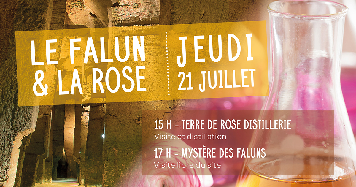 WEB_Falun_Rose_2022.jpg - Saumur Kiosque
