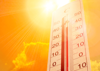 Canicule. Le Maine-et-Loire en alerte rouge à partir de ce lundi midi
