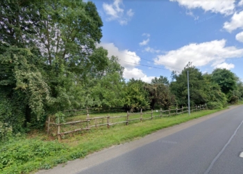 Saumurois. Une association foncière pastorale pour remettre de l’élevage en bord de Loire