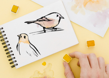 4 et 18 août à Montsoreau : Atelier « les oiseaux et l’aquarelle »