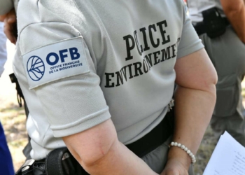 Bourgueil. Incendies : Contrôles et sensibilisation dans le massif forestier