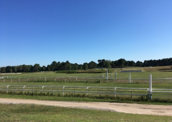 Verrie. Le projet équestre est dessiné, mais encore dans l’attente d’études environnementales