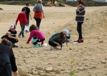 Du 18 juillet au 15 août à Doué-en-Anjou : Recherche et identification de fossiles
