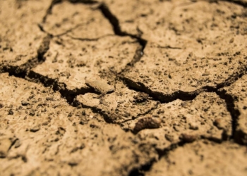 Thouars. Sécheresse 2021 : L’état de catastrophe naturelle reconnu