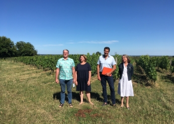 Saumur Val de Loire. Le Saumurois renforce ses liens oenotouristiques avec l’Argentine