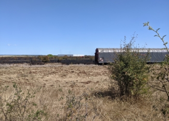 Montreuil-Bellay. Un incendie se déclare dans la zone de Méron, 29 hectares réduits en cendres