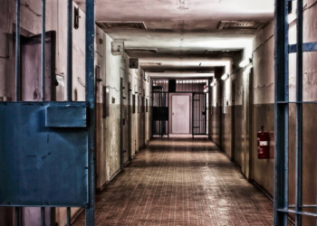 Lu, vu, entendu, ce qu’il ne fallait pas manquer près de chez vous