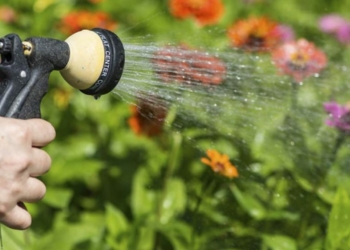 Coudray-Macouard. Avec la sécheresse, la commune adapte sa gestion de l’arrosage