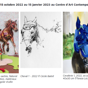 expo-bouvet-2022-2023 - Saumur Kiosque