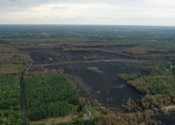 5 septembre à Baugé-en-Anjou. Incendie : Réunion d’information destinée aux propriétaires forestiers