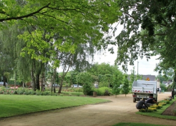 Doué-en-Anjou. Aménagement urbain : Embellissement, rénovation et plantation au programme