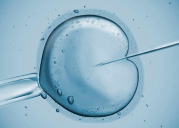 Météo du mercredi 31 août. PMA : l’accès aux origines possible pour les enfants nés à partir du 1er septembre