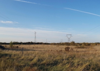 Montreuil-Bellay. Consultation sur un projet de création d’une Réserve Naturelle Régionale Champagne de Méron