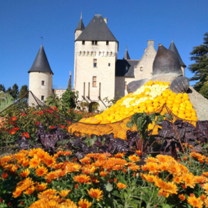 Fleurs-Automne-Rivau-2.jpg - Saumur Kiosque