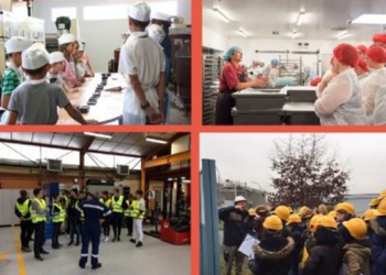 Saumurois. 12 entreprises s’ouvrent aux écoliers, collégiens, lycéens, apprentis et étudiants !