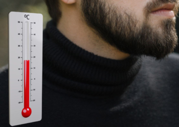 Opinion. Elites et cols roulés