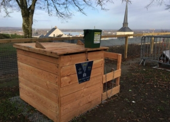 Dossier. Tous les ménages devront pouvoir trier leurs déchets alimentaires à partir du 1er janvier 2024
