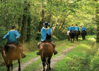 Saumur aménage sa route d’Artagnan pour cavalier