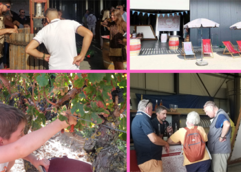 Les 10 et 11 septembre à Saumur : Portes Ouvertes de Vendanges au domaine de la Seigneurie