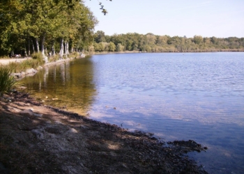 Gennes-Val de Loire. La forêt du Joreau fermée durant les jours de chasse