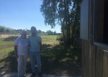 Allonnes. Un couple crée un haras et un élevage de purs-sangs