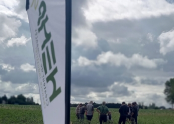 Beaufort-en-Anjou. L’entreprise HEMP’IT mise sur le chanvre et ses possibles