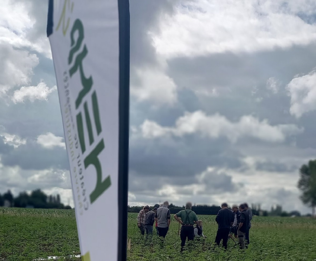 Beaufort-en-Anjou. L’entreprise HEMP’IT mise sur le chanvre et ses possibles