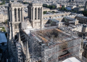 Thouarsais. L’entreprise de charpente Asselin participera au chantier de Notre-Dame de Paris