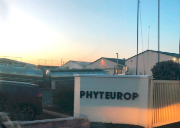 Montreuil Bellay. Phyteurop va construire 1 600 m2 et se lance dans les Bios intrants