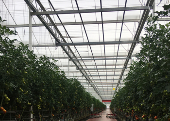 Noyant-Villages : Un programme d’ECOnomie CIRculaire exemplaire