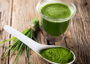 24 et 25 septembre à Varennes sur Loire : Fête de la Spiruline