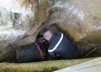 Chinonais. Les secouristes du GRIMP37 viennent en aide à une personne tombée d’un coteau et bloquée (photos)