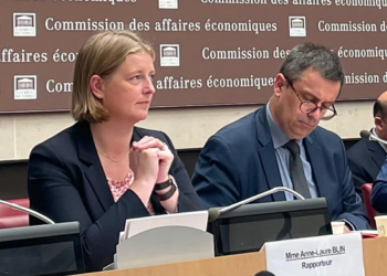 Anne-Laure Blin, députée de Saumur-nord, se prononce en défaveur de la nomination de Luc Rémont à la tête d’EDF