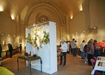 Les 29 et 30 octobre à St-Hilaire-St-Florent : Les champignons s’exposent