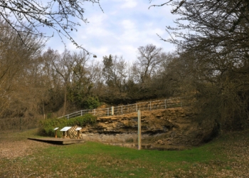 Thouarsais. L’intercommunalité se désengage de la réserve naturelle du Toarcien et cherche un gestionnaire