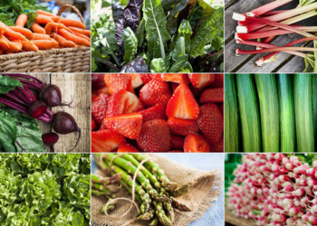 Val de Loire : Les producteurs de Fruits et légumes tirent la sonnette d’alarme !