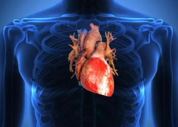 Dossier. Insuffisance cardiaque : reconnaître les signaux d’alerte