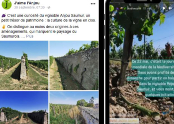 Réseaux sociaux : Anjou tourisme et la Fédération viticole Anjou Saumur invitent des superfans… en vrai !