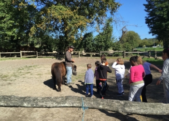 Saumur. Handicap : de la médiation par le cheval avec les Olympiades équestres