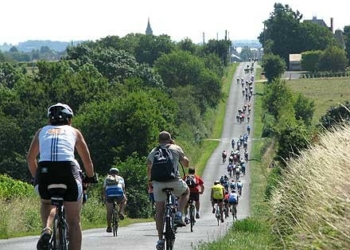 8 et 9 octobre en Saumurois : 34è édition de la randonnée Vins et Champignons
