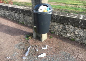 Courrier du Lecteur. « Saumur ville propre… »