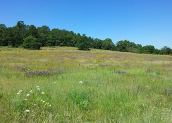 Puys du Chinonais. Les propriétaires invités à s’engager pour la préservation du site