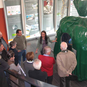 salamandre_sivert_est_anjou - Saumur Kiosque
